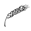Malt